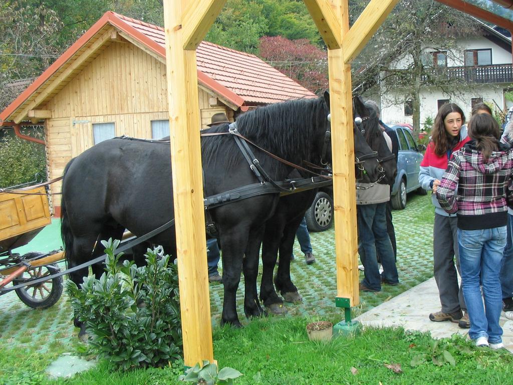 Sunny Holiday House B&B Ljubno Exterior foto