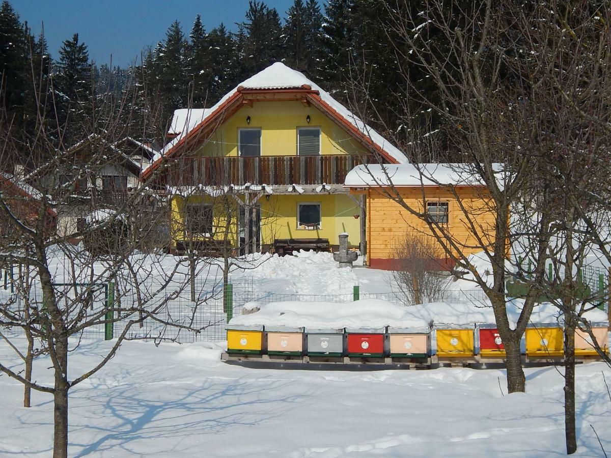 Sunny Holiday House B&B Ljubno Exterior foto